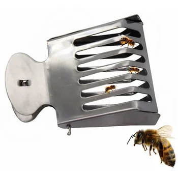 1 Шт Зажим для Ловли Пчелиной Матки Клетка из нержавеющей Стали Оборудование для пчеловодства Оборудование для Пчеловода Изолированная Комната Инструмент для пчеловодства Пчеловода