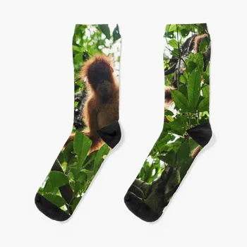 Носки Up Socks, набор носков для мужчин, Забавные носки, чулки для мужчин, подарок для мужчин